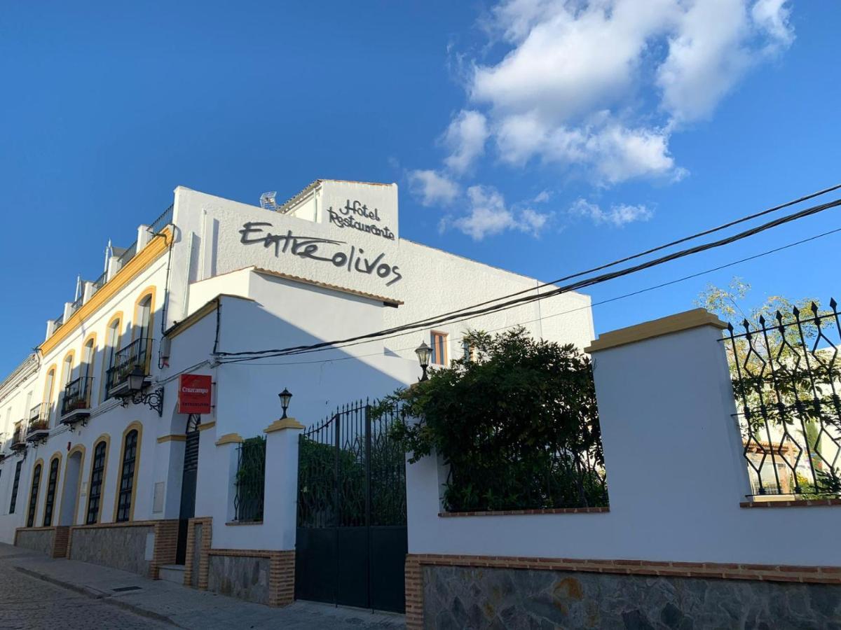 Hotel Entreolivos El Pedroso Dış mekan fotoğraf