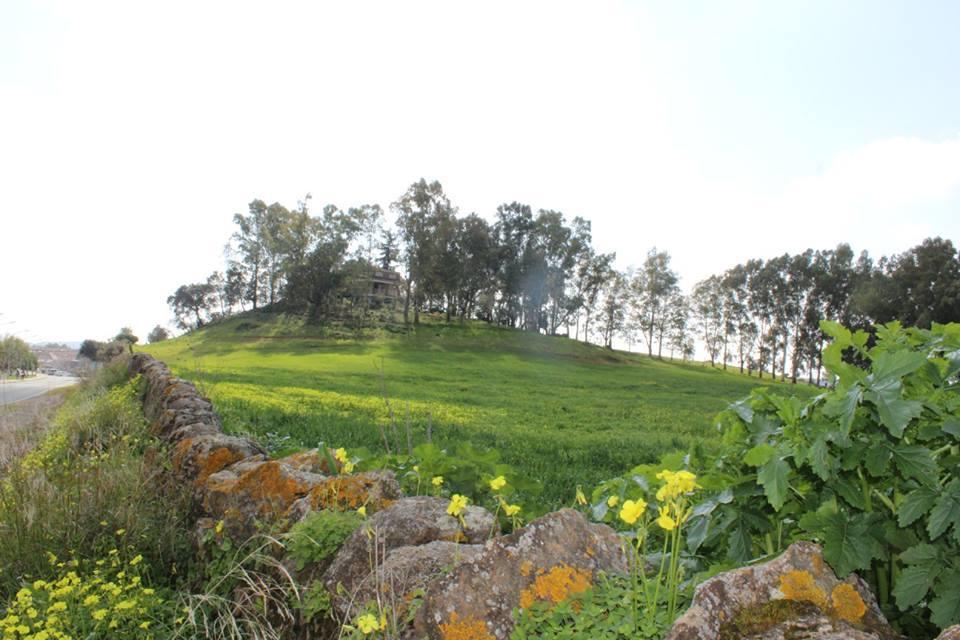 Hotel Entreolivos El Pedroso Dış mekan fotoğraf