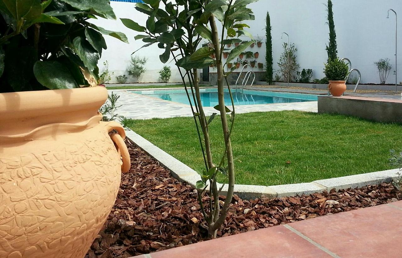 Hotel Entreolivos El Pedroso Dış mekan fotoğraf