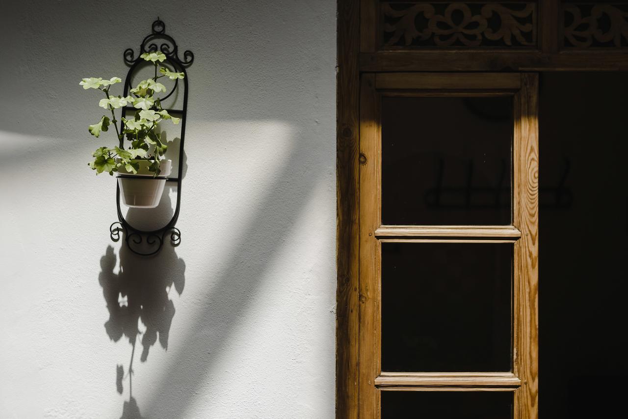 Hotel Entreolivos El Pedroso Dış mekan fotoğraf