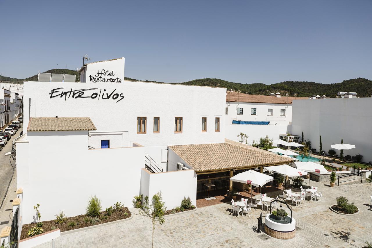 Hotel Entreolivos El Pedroso Dış mekan fotoğraf